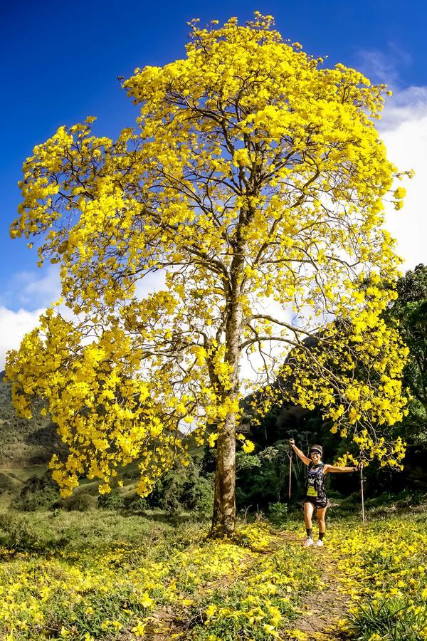 Buy your photos of the eventEvolution on Fotop