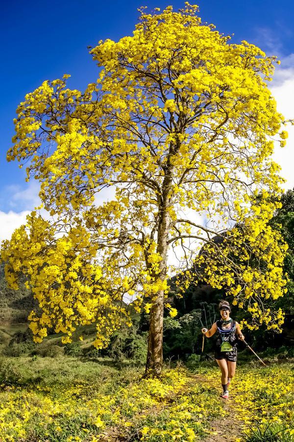 Buy your photos of the eventEvolution on Fotop