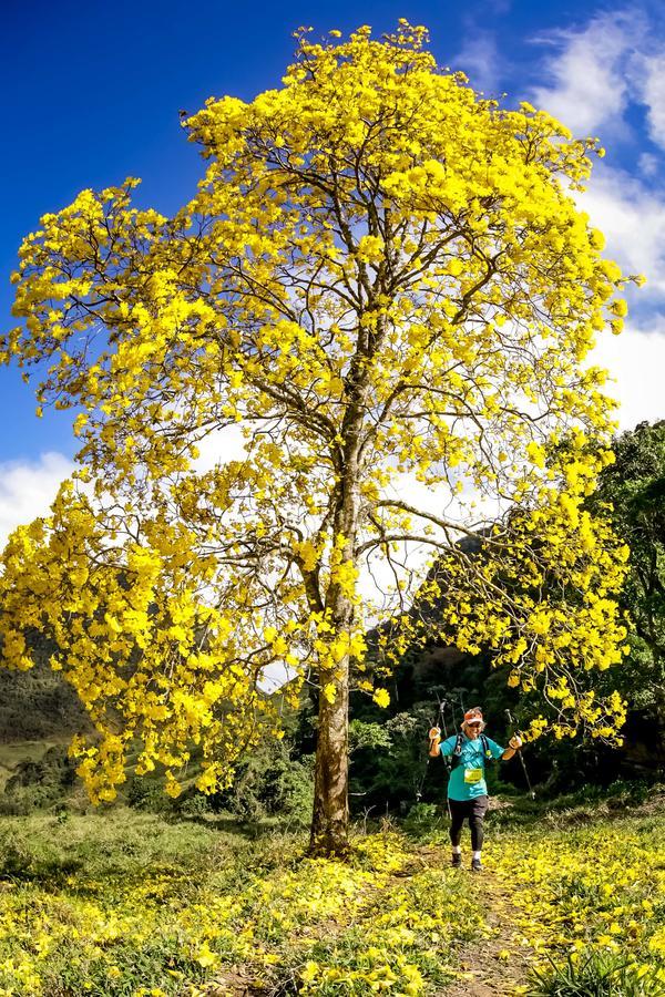 Buy your photos of the eventEvolution on Fotop