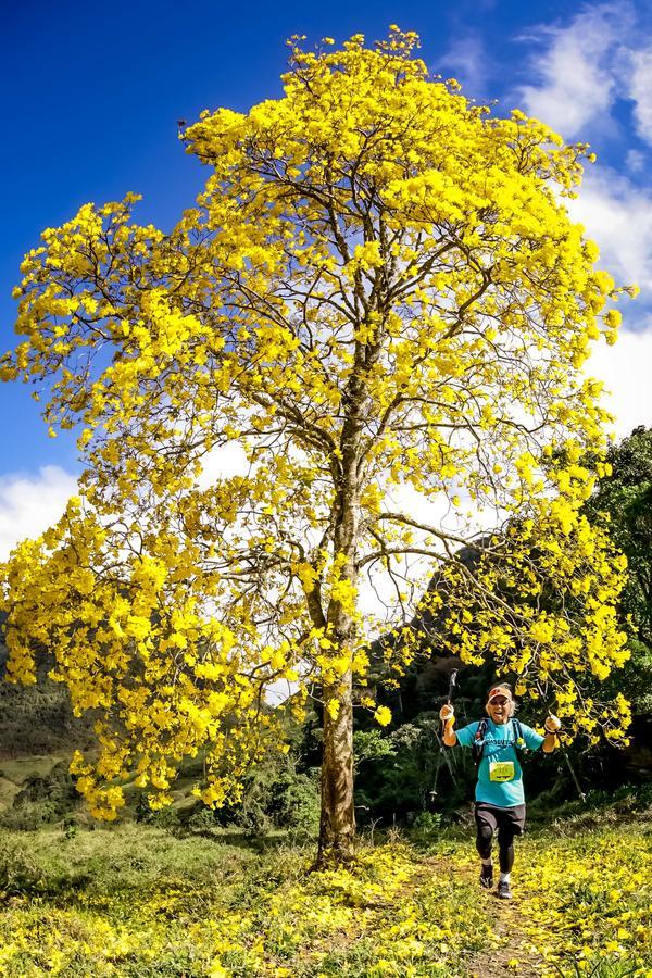 Buy your photos of the eventEvolution on Fotop