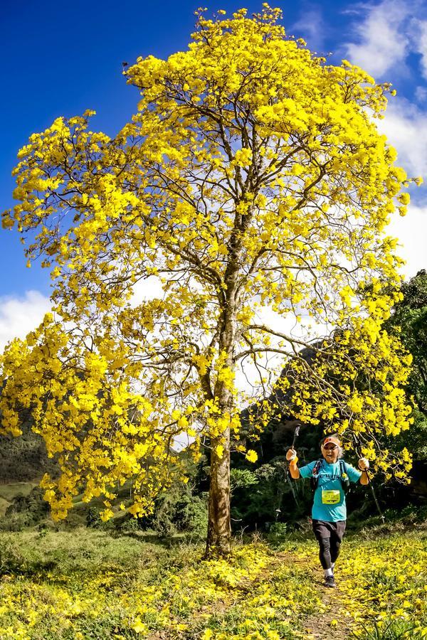 Buy your photos of the eventEvolution on Fotop