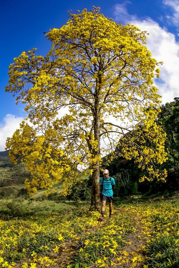 Buy your photos of the eventEvolution on Fotop