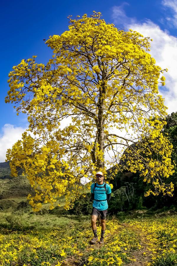 Buy your photos of the eventEvolution on Fotop