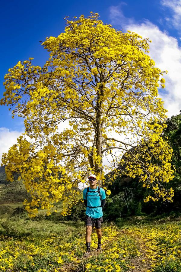 Buy your photos of the eventEvolution on Fotop