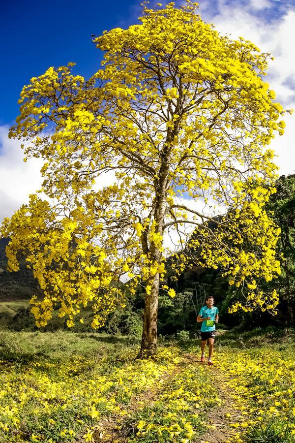 Buy your photos of the eventEvolution on Fotop