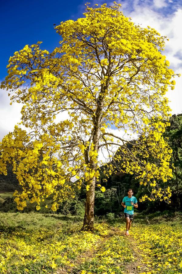 Buy your photos of the eventEvolution on Fotop