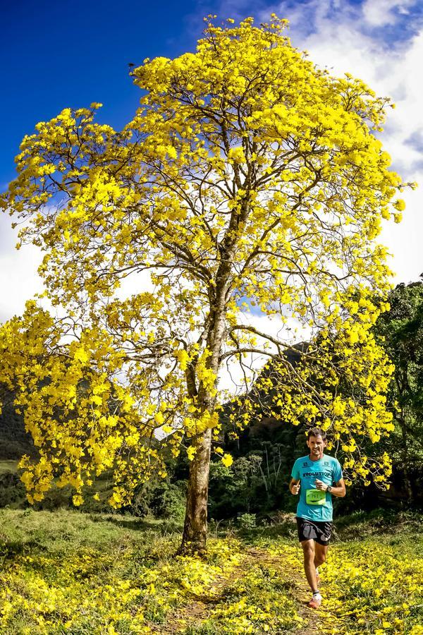 Buy your photos of the eventEvolution on Fotop