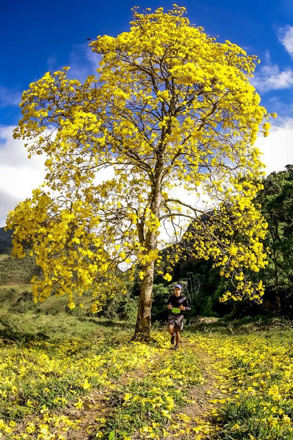 Buy your photos of the eventEvolution on Fotop