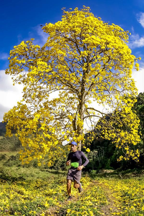 Buy your photos of the eventEvolution on Fotop