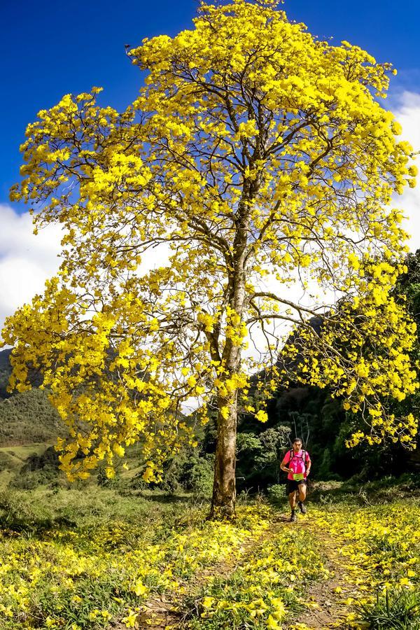 Buy your photos of the eventEvolution on Fotop