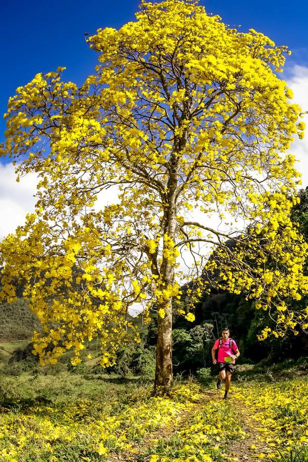 Buy your photos of the eventEvolution on Fotop