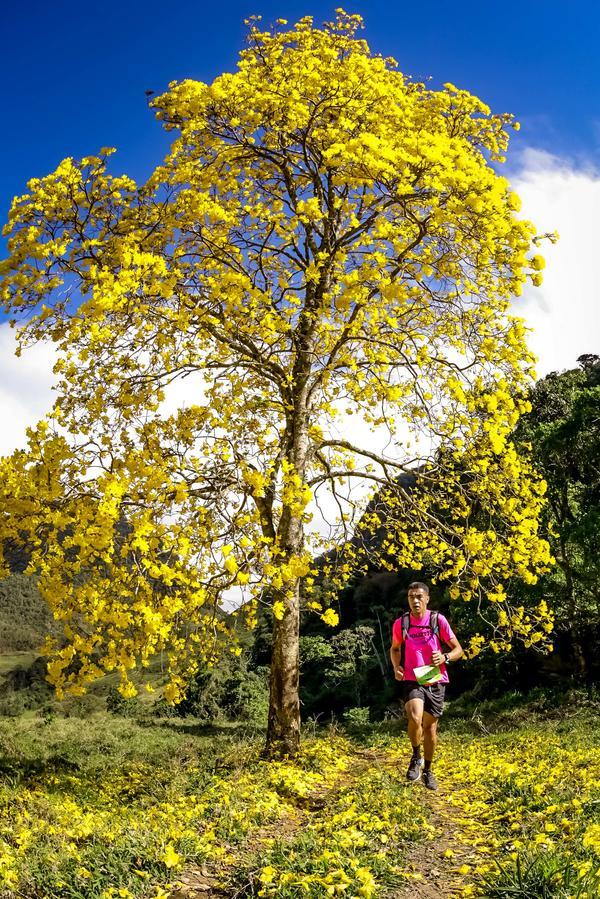 Buy your photos of the eventEvolution on Fotop