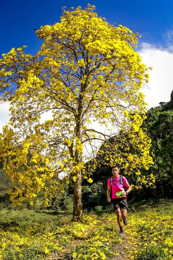 Buy your photos of the eventEvolution on Fotop