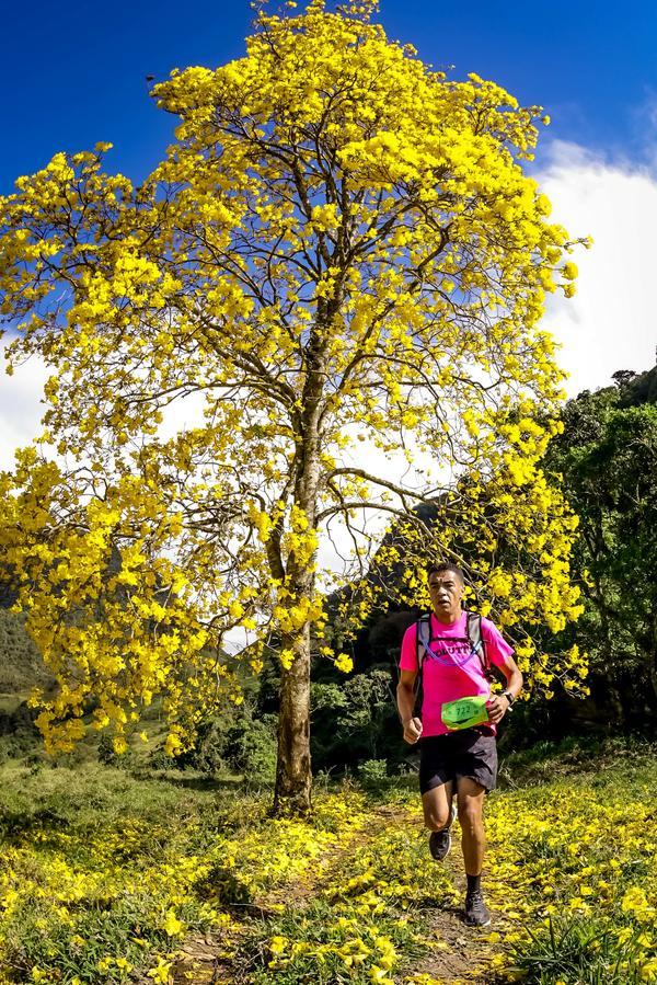 Buy your photos of the eventEvolution on Fotop