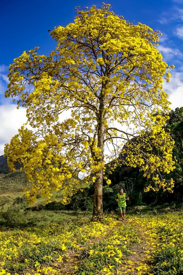 Buy your photos of the eventEvolution on Fotop