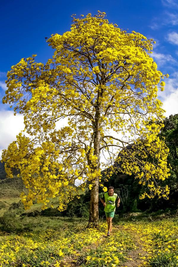 Buy your photos of the eventEvolution on Fotop