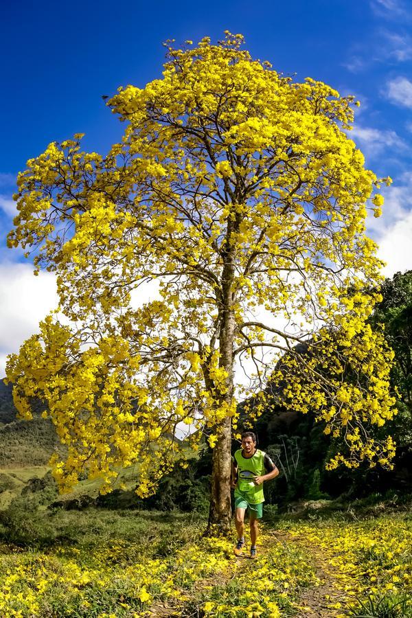 Buy your photos of the eventEvolution on Fotop