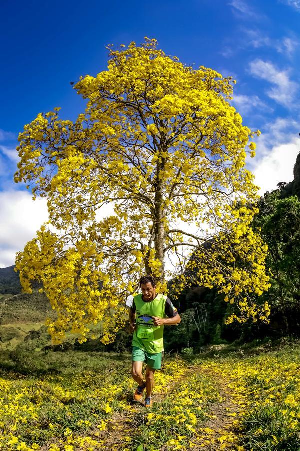 Buy your photos of the eventEvolution on Fotop