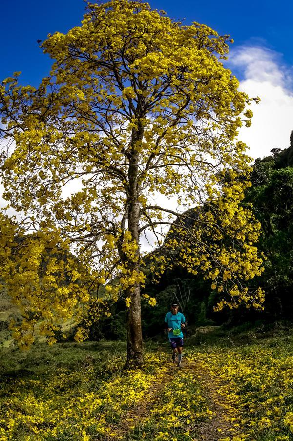 Buy your photos of the eventEvolution on Fotop