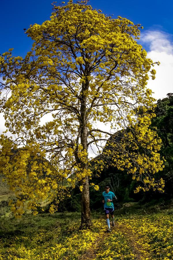 Buy your photos of the eventEvolution on Fotop