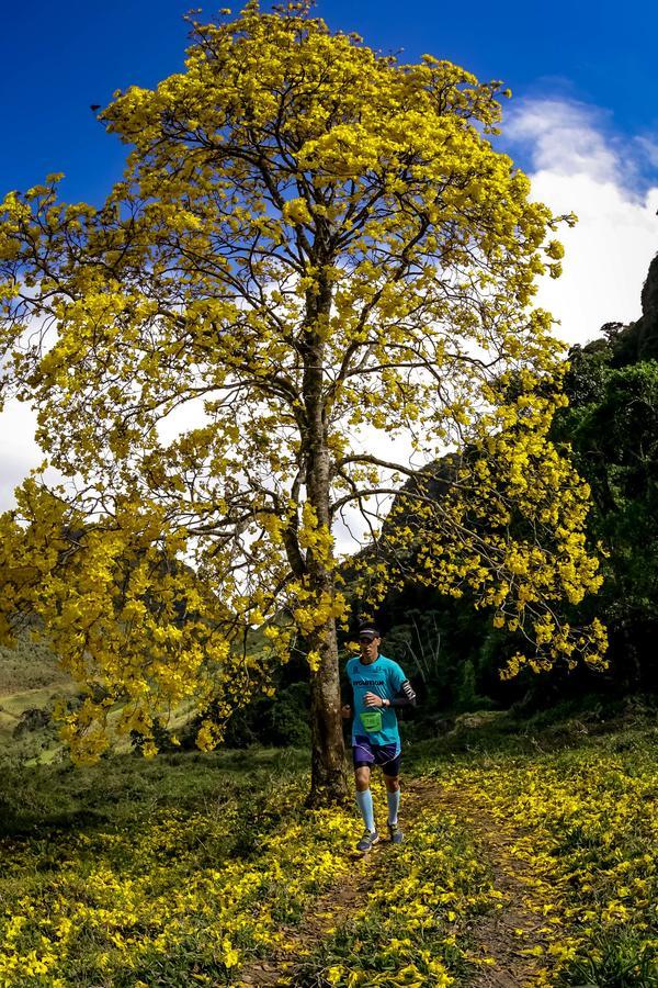 Buy your photos of the eventEvolution on Fotop