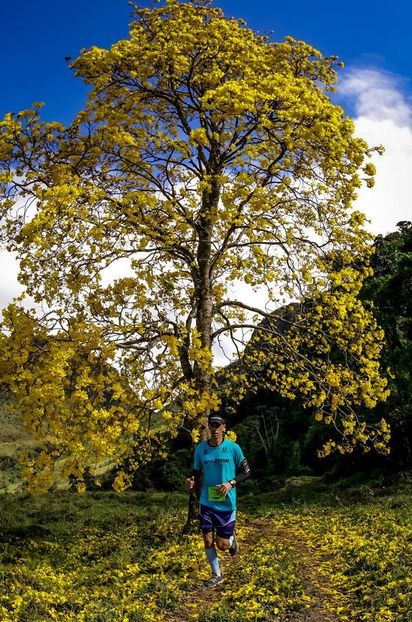 Buy your photos of the eventEvolution on Fotop