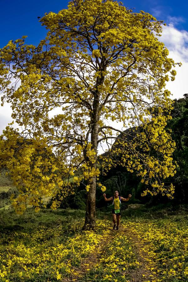 Buy your photos of the eventEvolution on Fotop