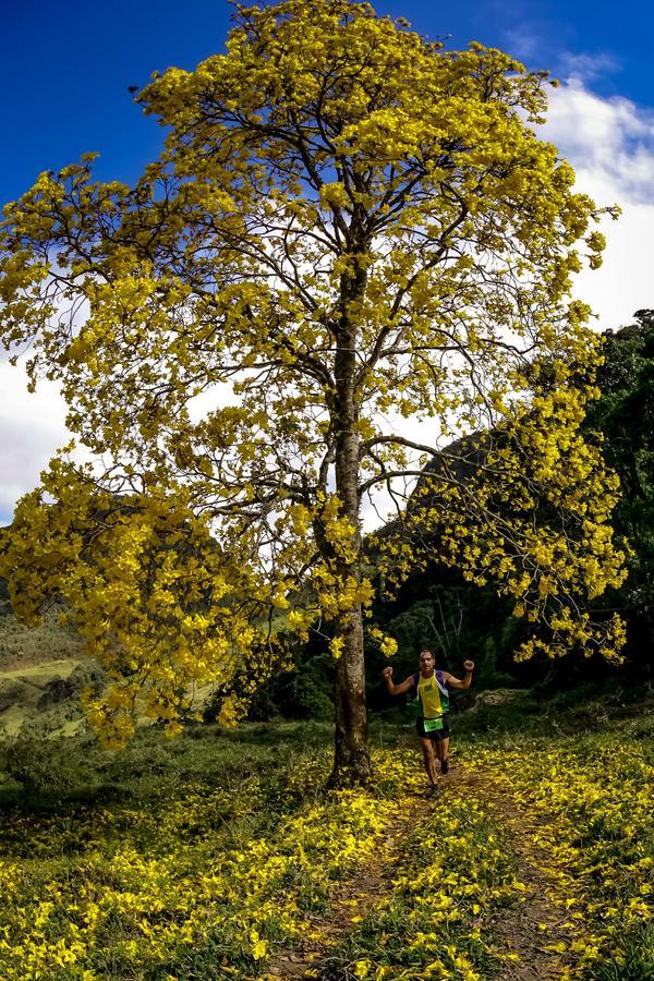 Buy your photos of the eventEvolution on Fotop