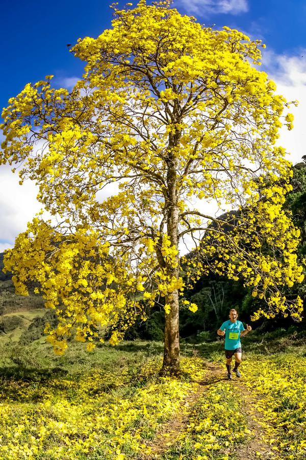 Buy your photos of the eventEvolution on Fotop