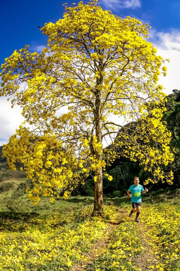 Buy your photos of the eventEvolution on Fotop