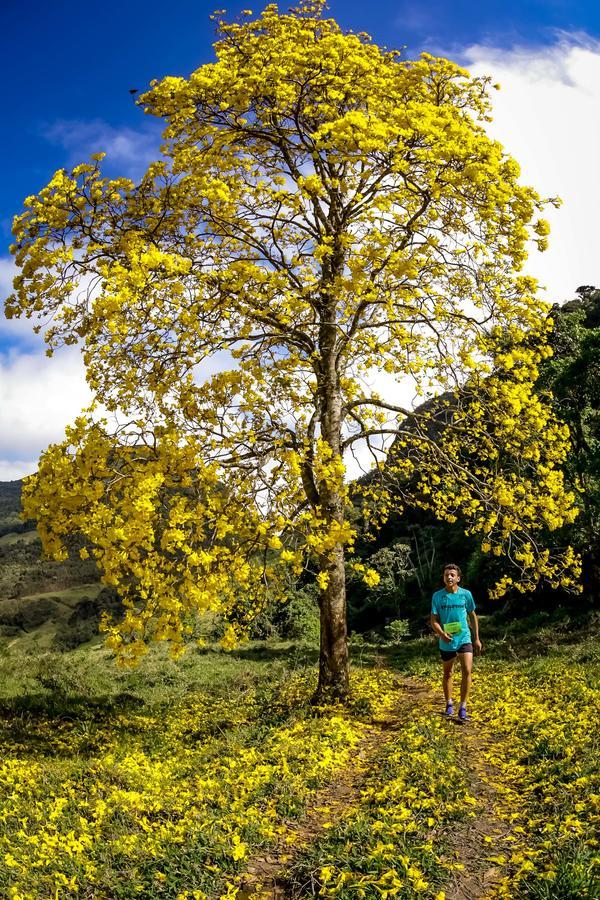 Buy your photos of the eventEvolution on Fotop