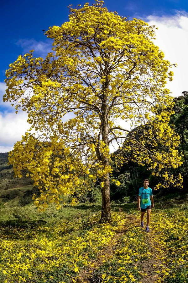Buy your photos of the eventEvolution on Fotop