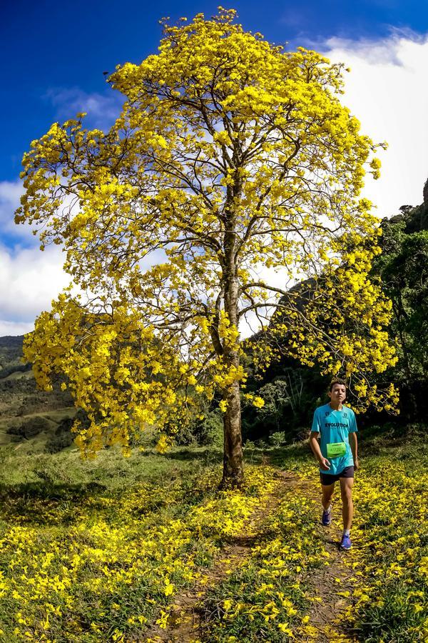 Buy your photos of the eventEvolution on Fotop