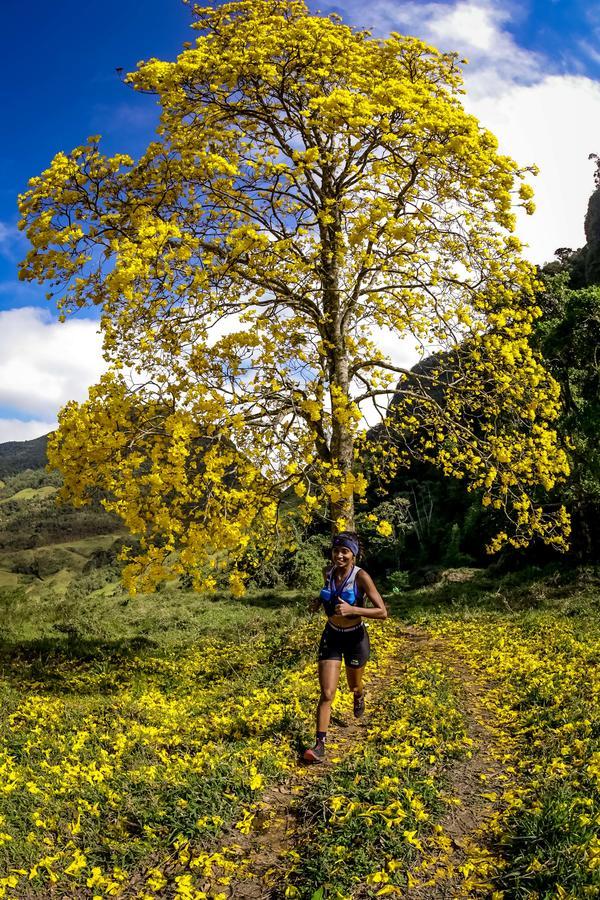 Buy your photos of the eventEvolution on Fotop