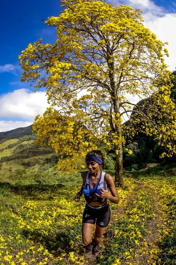 Buy your photos of the eventEvolution on Fotop