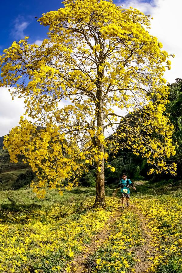 Buy your photos of the eventEvolution on Fotop