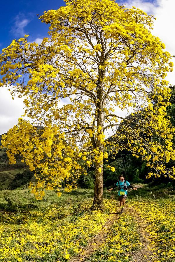 Buy your photos of the eventEvolution on Fotop