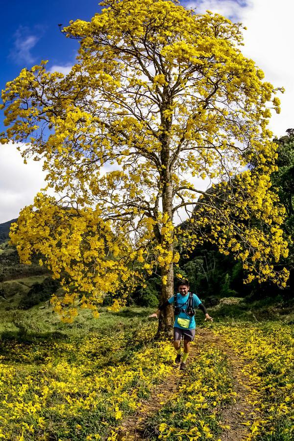 Buy your photos of the eventEvolution on Fotop