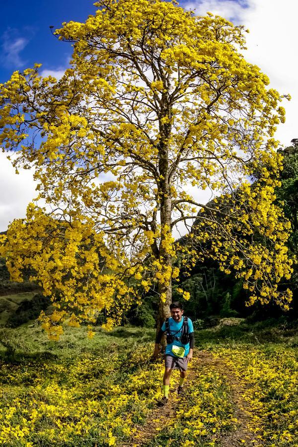 Buy your photos of the eventEvolution on Fotop