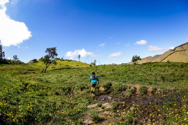 Buy your photos of the eventEvolution on Fotop