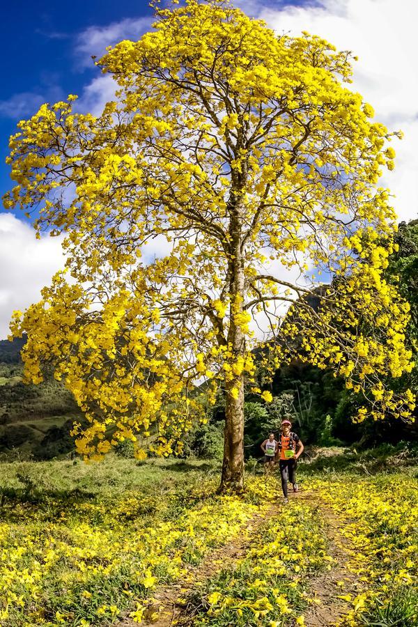 Buy your photos of the eventEvolution on Fotop