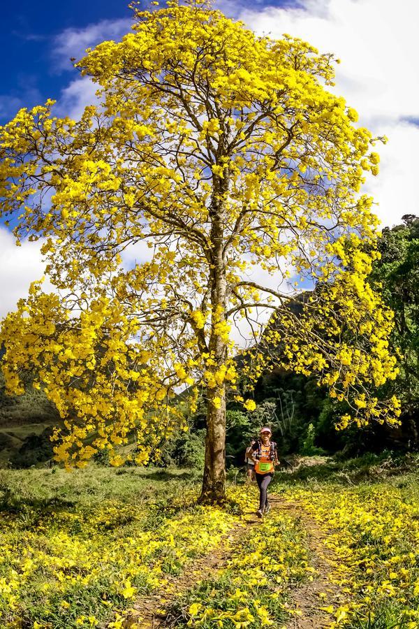 Buy your photos of the eventEvolution on Fotop