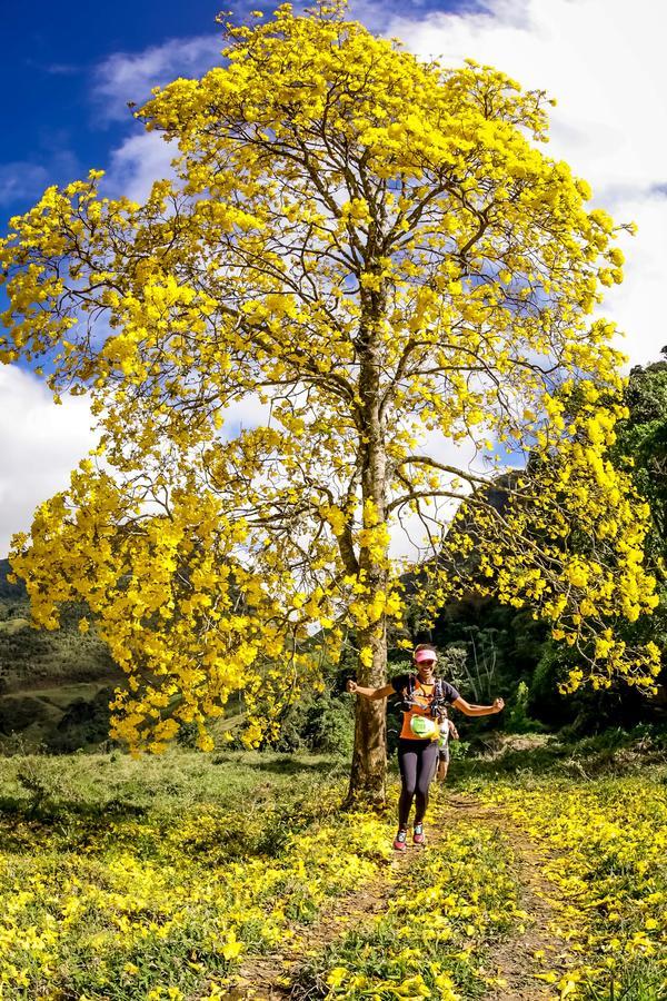 Buy your photos of the eventEvolution on Fotop