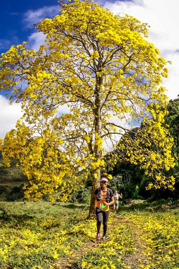 Buy your photos of the eventEvolution on Fotop