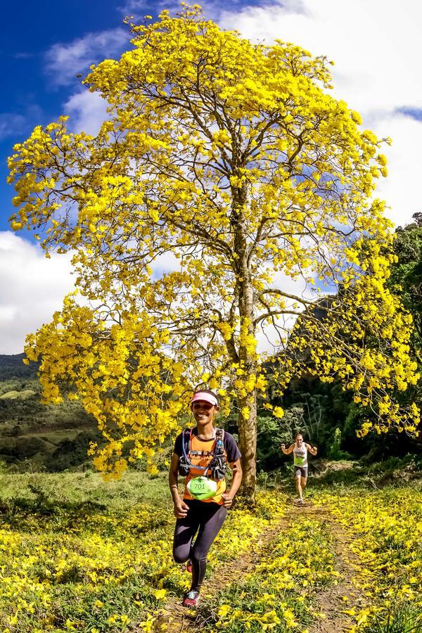 Buy your photos of the eventEvolution on Fotop