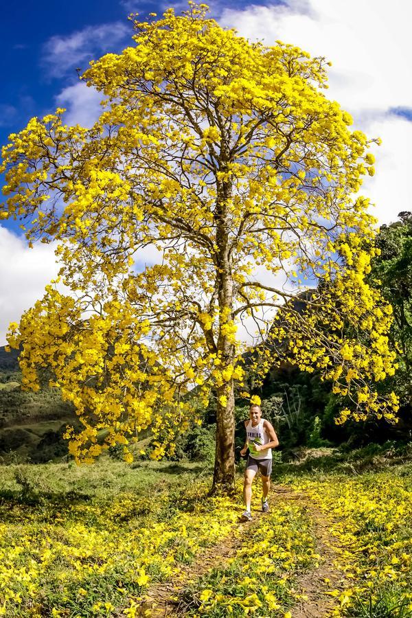 Buy your photos of the eventEvolution on Fotop