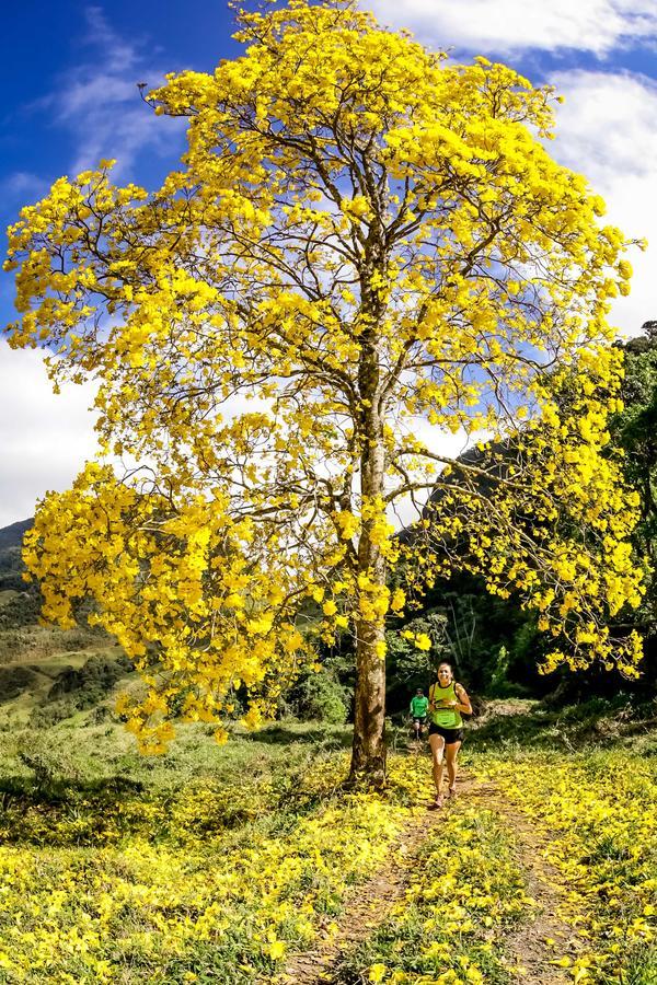 Buy your photos of the eventEvolution on Fotop