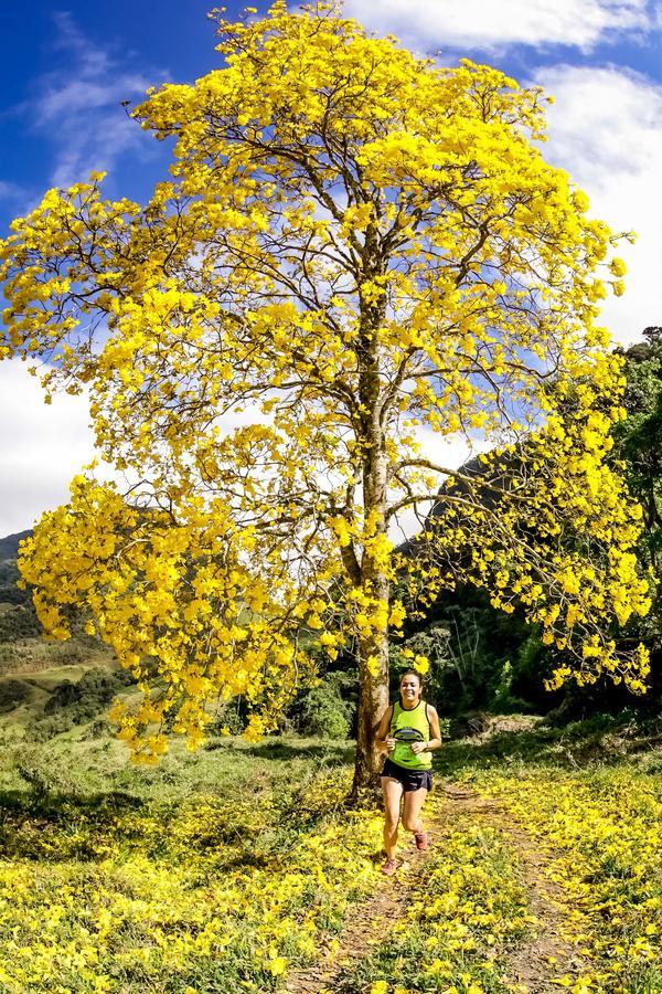 Buy your photos of the eventEvolution on Fotop