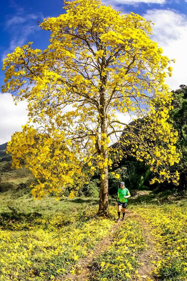 Buy your photos of the eventEvolution on Fotop