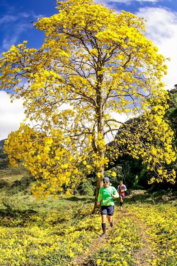 Buy your photos of the eventEvolution on Fotop